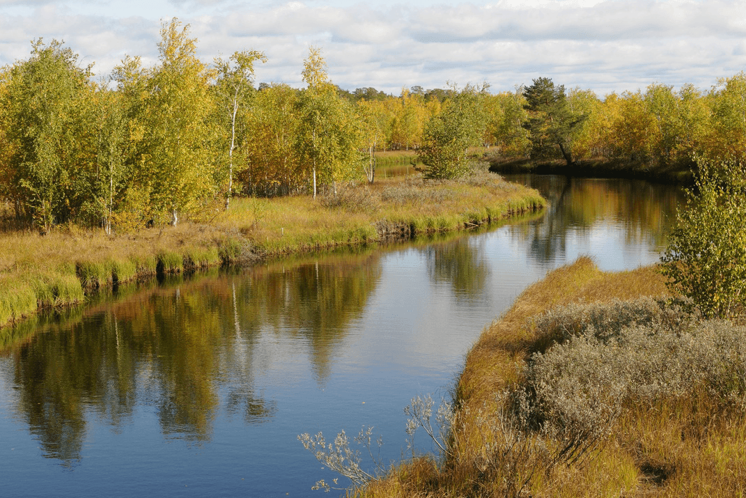 Проект «Кондинский край — край чистых рос»