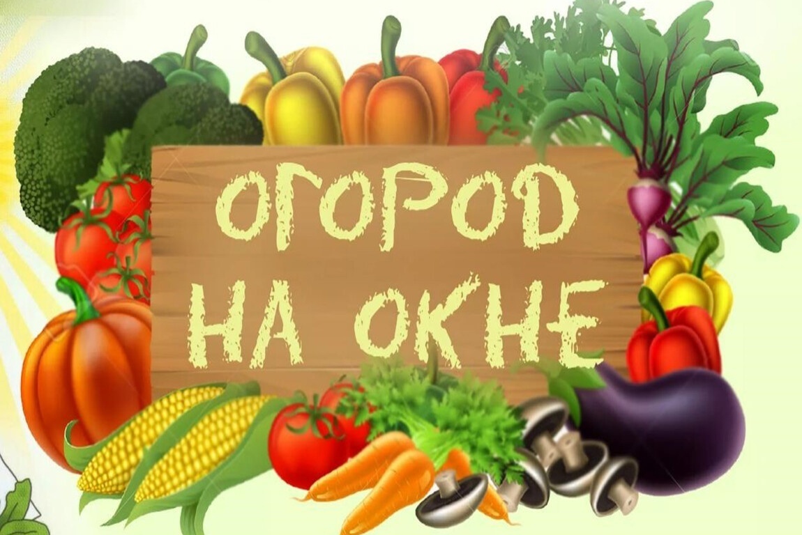 Огород на окне