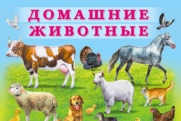 Интерактивная игра "ДОМАШНИЕ ЖИВОТНЫЕ"